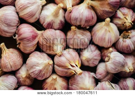 Close-up Garlic Bulbs And Garlic Cloves On Wodeen Background. Ga