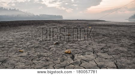 Dried lake and cracked earth Slovakia Scallops on the ground.