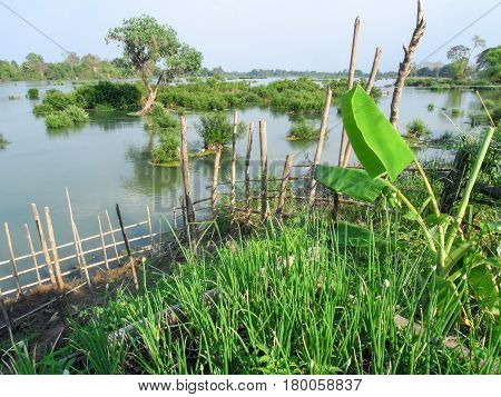 View At River Mekong In Don Det Island