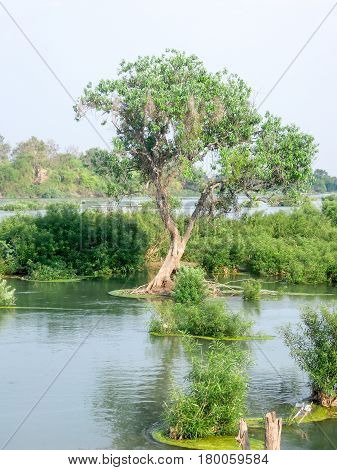 View At River Mekong In Don Det Island
