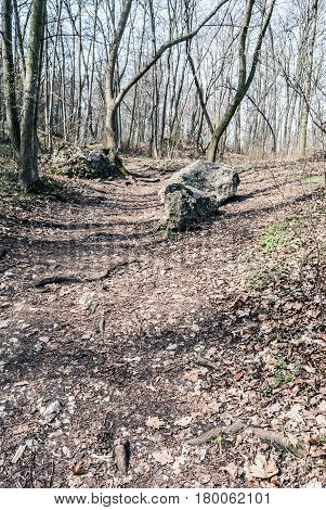 early spring forest with stones hiking trail and clear sky above Pavlov village in Palava mountains in South Moravia