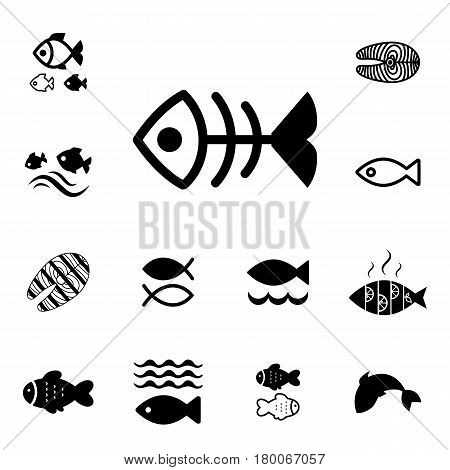 Set of Fish Icon Isolated. Fishing or Seafood Template for Logo Design