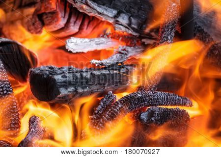 Flame burning in the dark abstract defocus. wood in fire
