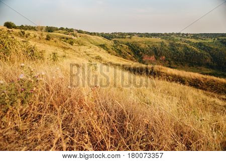 Dry Grass On The Mountain With Blue Sky At Doi Monjong,