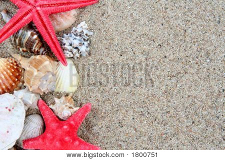 Shell