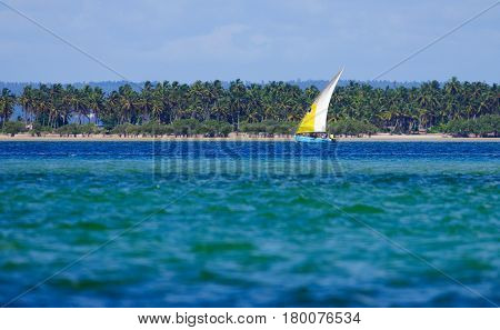 Small sailboat with palmtrees background in Mozambique