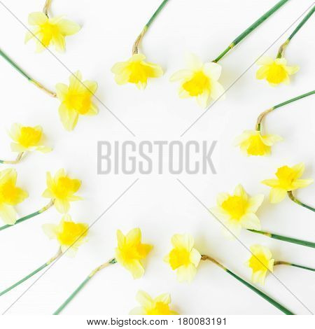 Yellow frame of narcissus on white background. Flat lay, top view. Floral background.