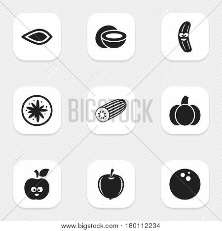 Set Of 9 Editable Vegetable Icons. Includes Symbols Such As Gourd, Funny Apple, Cokernut And More. Can Be Used For Web, Mobile, UI And Infographic Design.