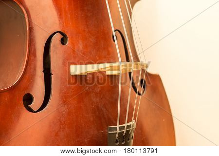 Contrabass Wooden Image & Photo (Free Trial) | Bigstock