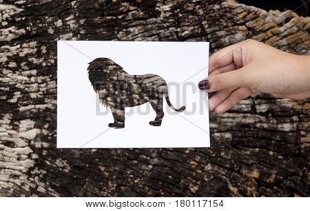 Hand Hold Lion Paper Carving with Wooden Background
