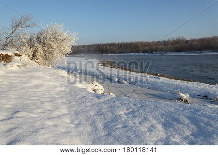 The river bank covered with snow and also a tree white from hoarfrost and dark waters of the river create interesting contrast.