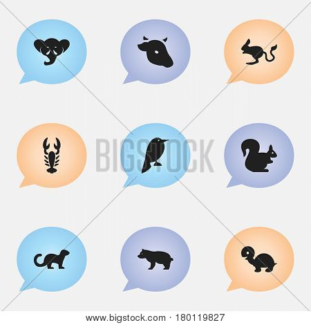 Set Of 9 Editable Zoology Icons. Includes Symbols Such As Jerboa, Crawfish, Bull And More. Can Be Used For Web, Mobile, UI And Infographic Design.