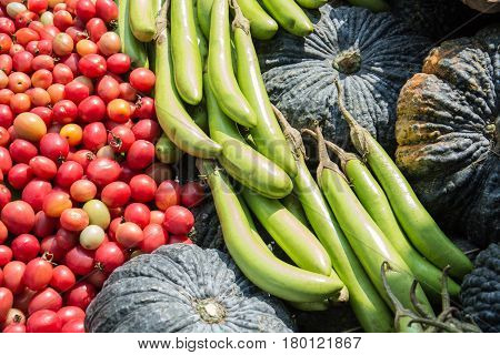 Heap of fresh vegetables eggplant pumpkin and tomato on wooden background