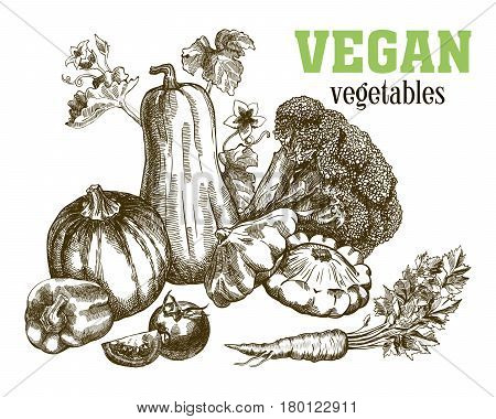 Set of vegetables. Harvesting. Hand drawn vector sketches on a white background