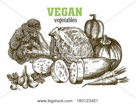 Set of vegetables. Harvesting. Hand drawn vector sketches on a white background