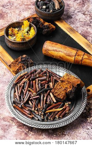 Gathering Roots And Herb