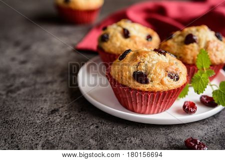Nutritious Oatmeal Muffins With Cranberries