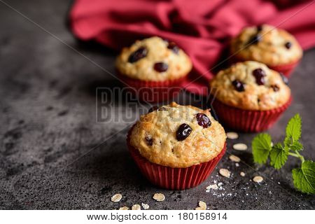 Nutritious Oatmeal Muffins With Cranberries