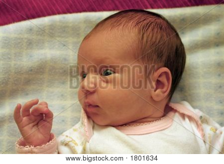 Baby'S Glance