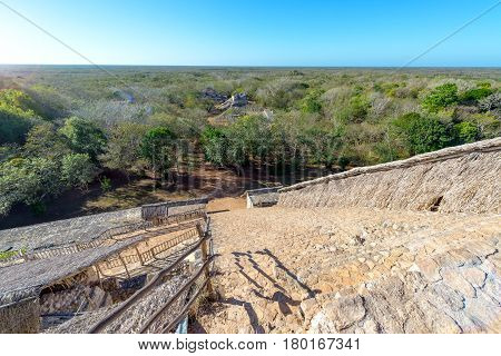 Ek Balam Stairs And Jungle