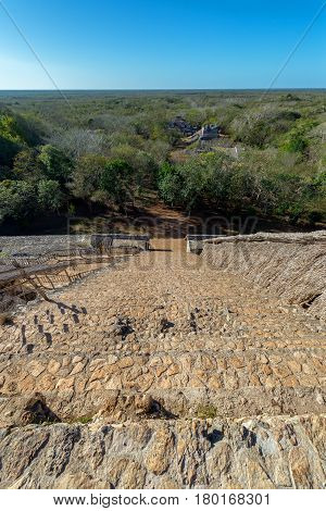 Jungle And Ruins View