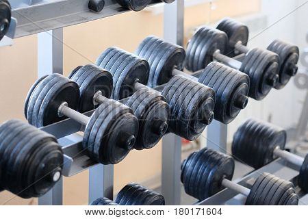 Dumbbells on a stand close up