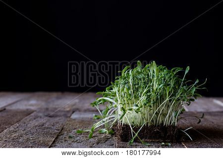 Cress on old kitchen table black background old boards