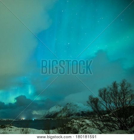 Aurora Borealis Known as Nother Lights Playing with Vivid Colors Over Lofoten Islands in Norway. Square Image Composition
