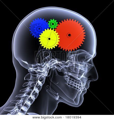 Skelet X-ray-Gear hoved