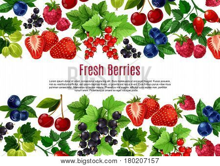 Berry and fruit cartoon poster template. Fresh strawberry, cherry, blueberry, currant, raspberry, briar and gooseberry bunches with green leaf and text layout. Food, drink, fruit dessert menu design