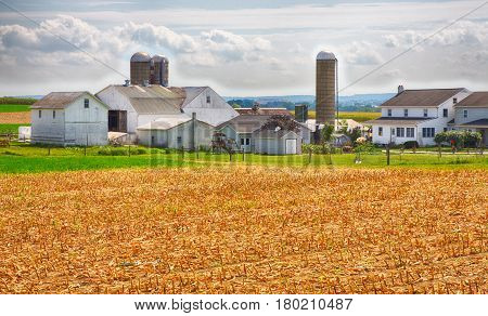 Amish Country