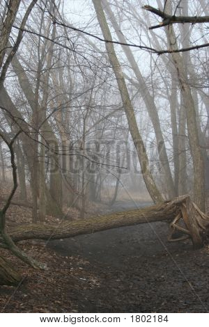 Mist