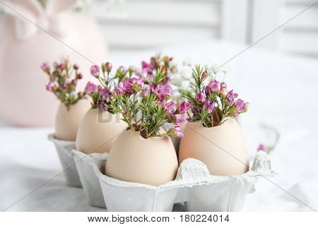 Easter decor - fresh beautiful Flowers in eggshells