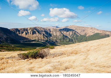 Look at the captivating scene of the alpine valley. Picturesque day. Location place Carpathian Ukraine, Europe. Wonderful image of wallpaper. Artistic photo. Explore the world's beauty and wildlife.