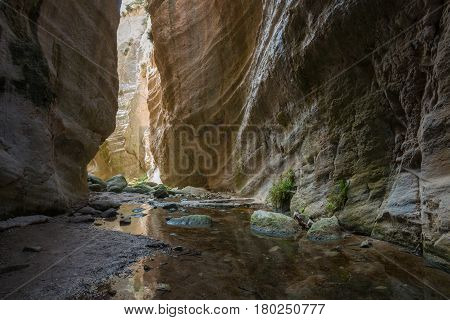 Avakas Gorge in Cyprus. Little river in foreground sunlit rocks are in background.