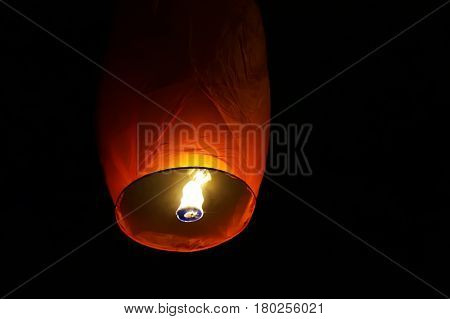 The Chinese Lantern Flies Up Highly