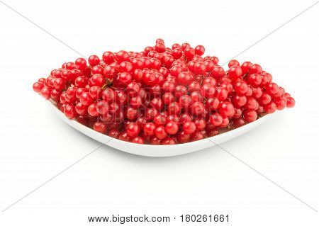 Pimbina berries isolated on a white background with clipping path