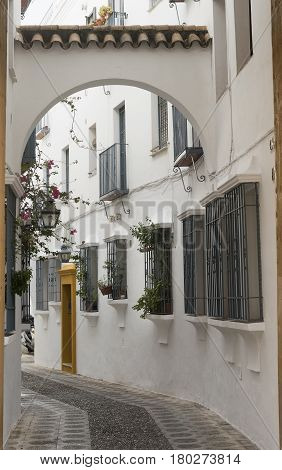 Cordoba (Andalucia Spain): old typical street in the Juderia with plants and flowers