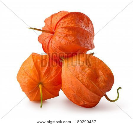 Three flowers of physalis isolated on a white background