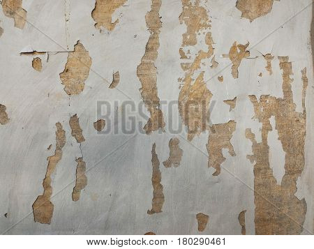 Detail surface of  broken cement wall for background