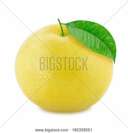 White grapefruit isolated on a white background. Close up