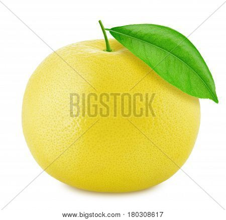 White grapefruit isolated on a white background. Close up