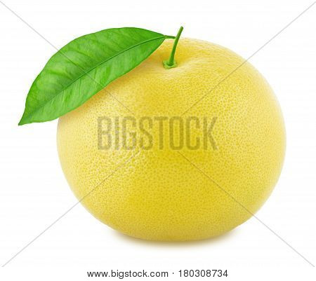 White grapefruit isolated on a white background. Close up