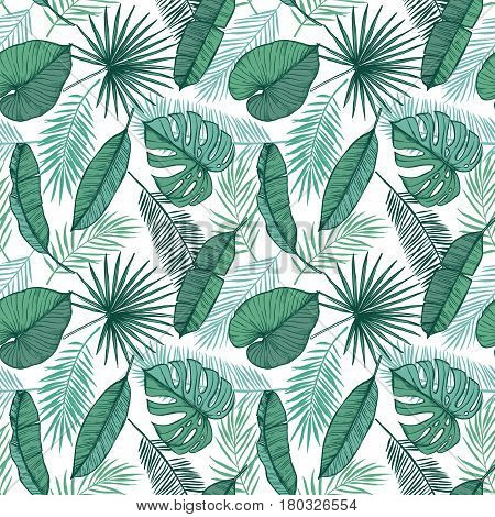 Hand Drawn Vector Background - Palm Leaves (monstera, Areca Palm, Fan Palm, Banana Leaves). Tropical