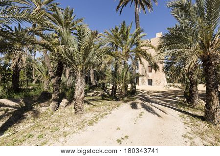 Elche Spain. March 30 2017: Tower of Vaillo in the city of Elche in the province of Alicante Spain.