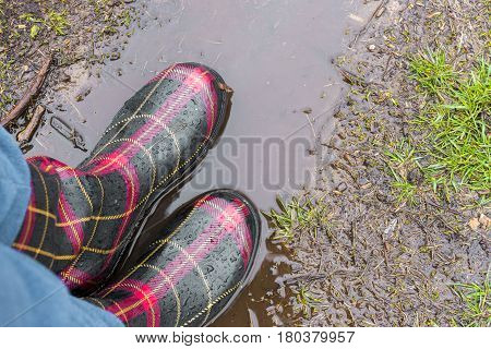 Closeup of adult rubber boots standing on mud puddle in the rain spring outdoor fun concept