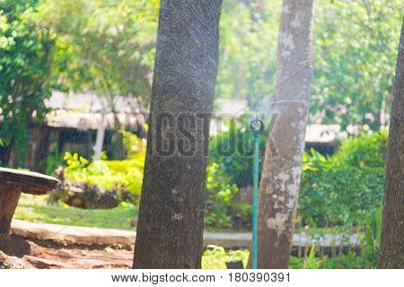 Sprinkler Watering For Plants In Garden Or Park