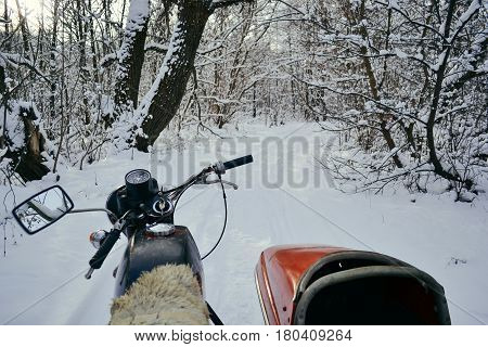 Motorcycles with sidecars in winter wood in Ukraine