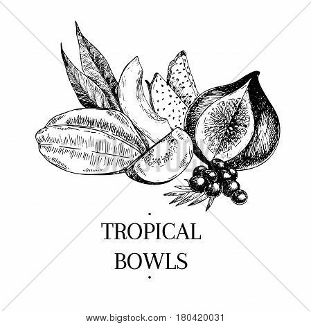 Vecotr hand drawn exotic fruits. Engraved smoothie bowl ingredients. Tropical sweet food. Carambola papaya guava pitaya fig acai. Use for exotic restaurant food partty