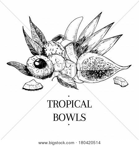 Vecotr hand drawn exotic fruits. Engraved smoothie bowl ingredients. Tropical sweet food. Lychee banana fig coconut. Use for exotic restaurant food partty